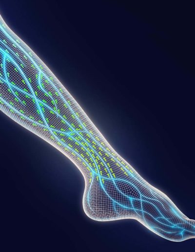 Illustration 3D d'une jambe en filaire avec veines